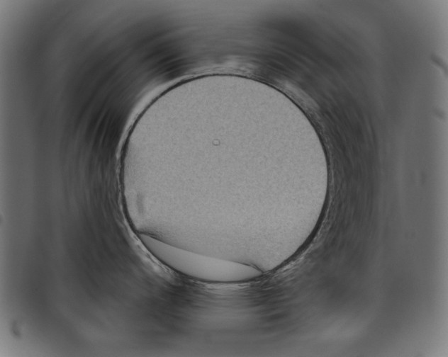 X0000097651200200803280922