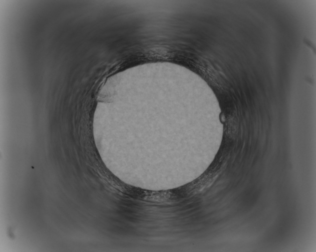 X0000097651201200803280921