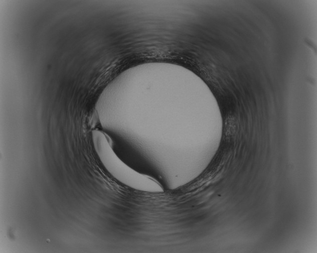 X0000097651202200803280921