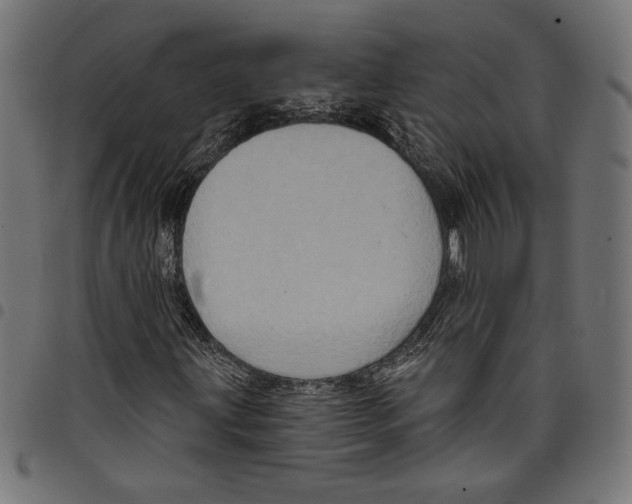 X0000097651203200803280921