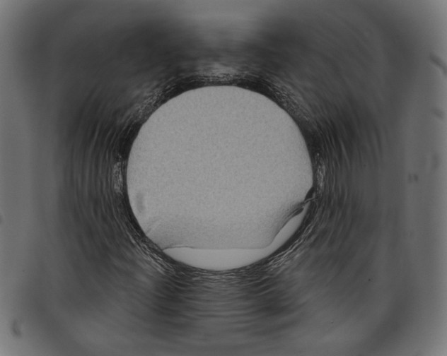 X0000097651204200803280921