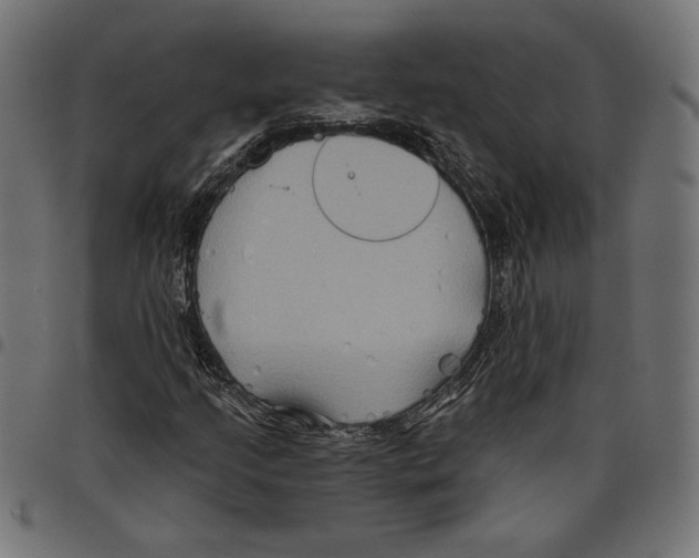 X0000097651205200803280921