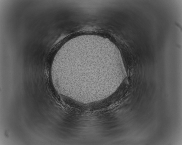 X0000097651206200803280921