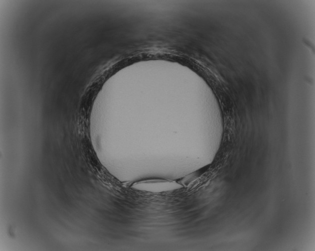 X0000097651207200803280921