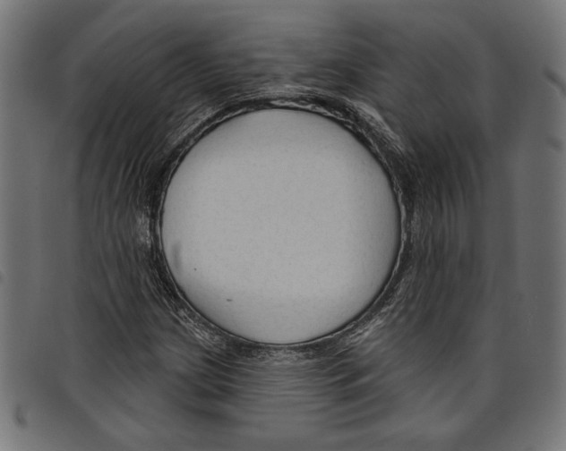 X0000097651209200803280921