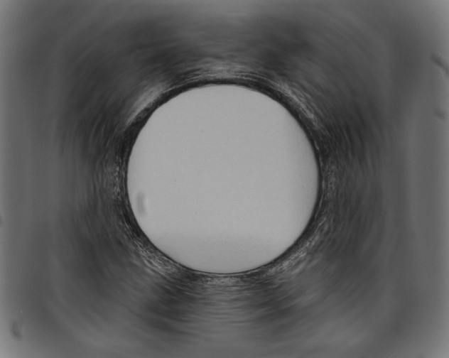 X0000097651211200803280921