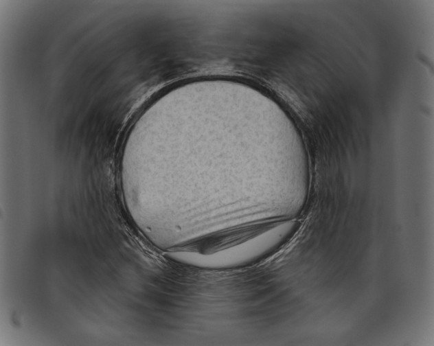 X0000097651212200803280921