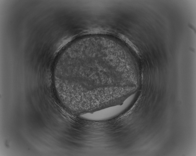 X0000097651213200803280921