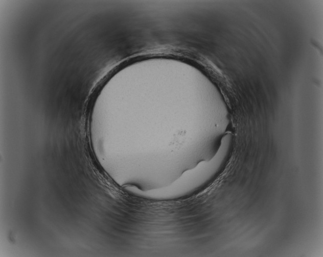 X0000097651216200803280921