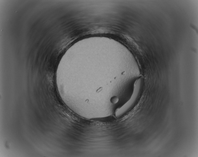 X0000097651217200803280921