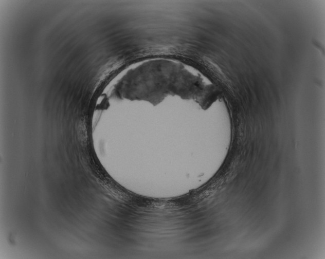 X0000097651218200803280921