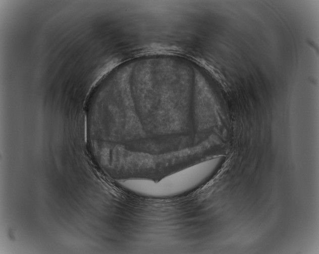 X0000097651219200803280921