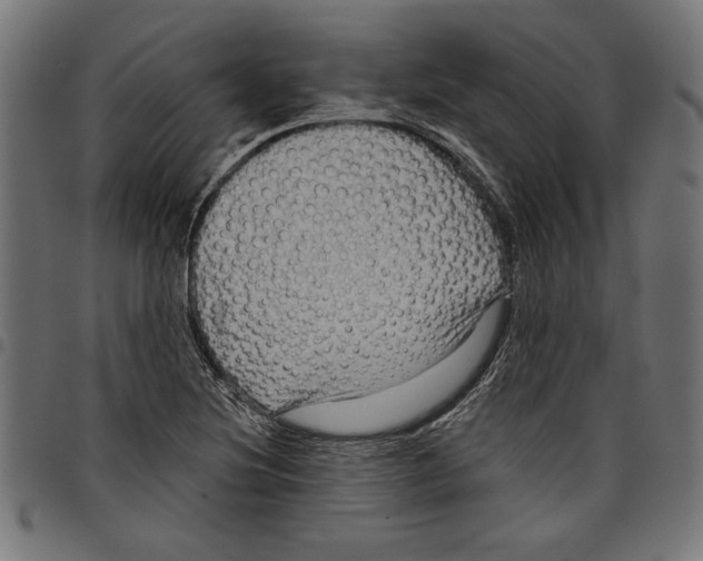 X0000097651220200803280921