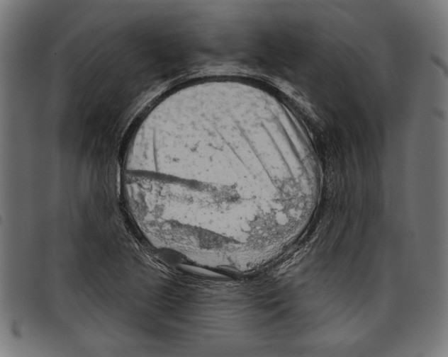 X0000097651221200803280921