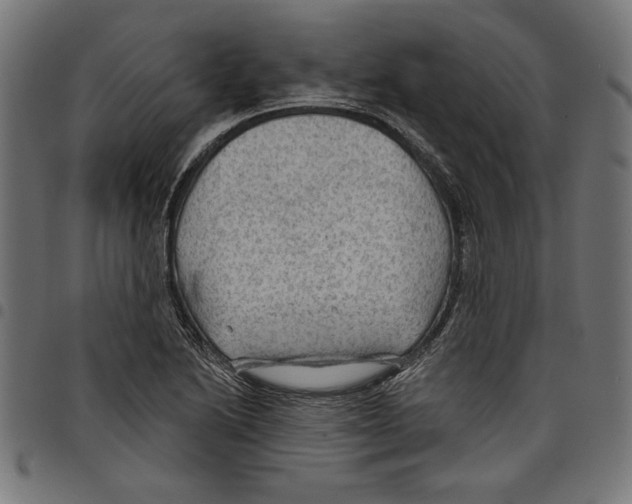 X0000097651222200803280921