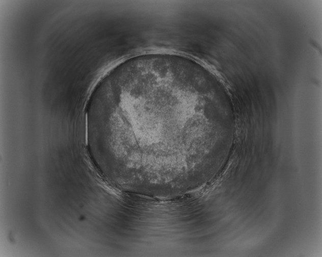 X0000097651223200803280921