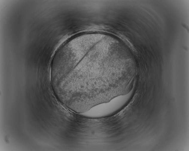 X0000097651224200803280921