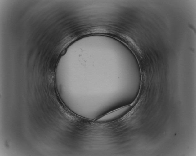 X0000097651225200803280921