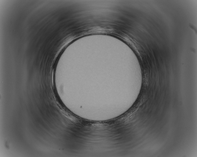 X0000097651227200803280921