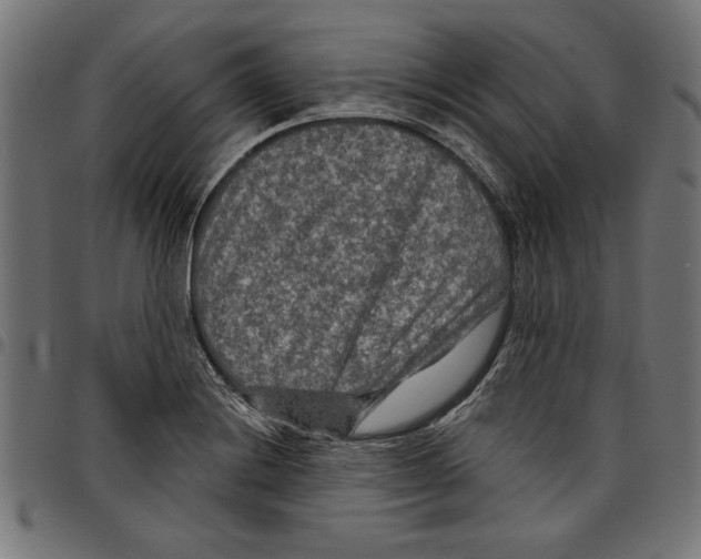 X0000097651228200803280921