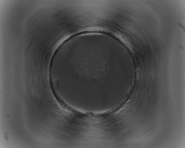 X0000097651229200803280921