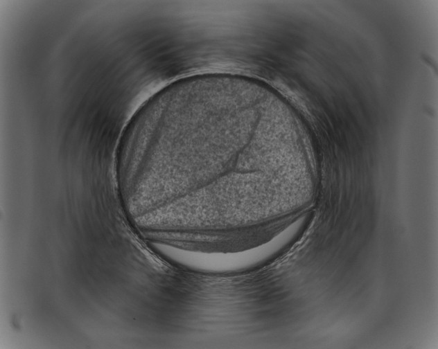 X0000097651230200803280921