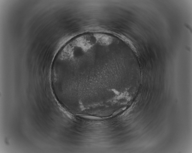 X0000097651231200803280921