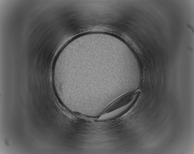 X0000097651232200803280921