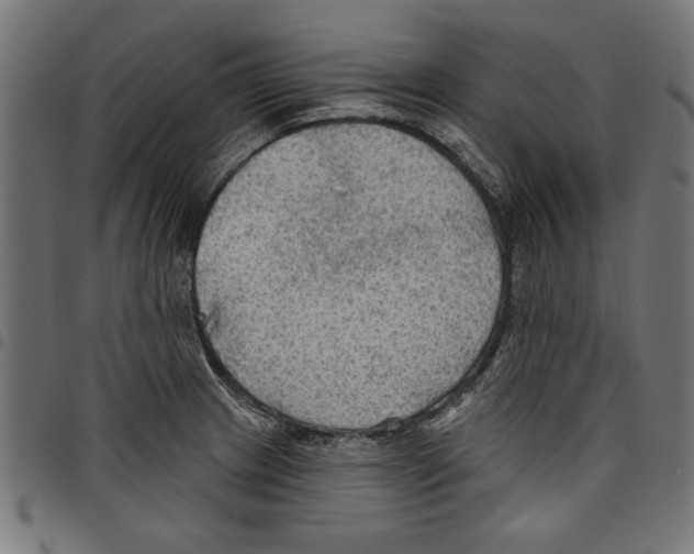 X0000097651233200803280921