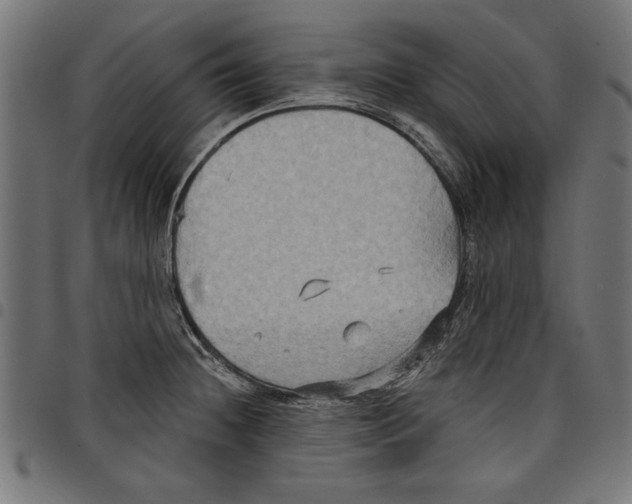 X0000097651236200803280922