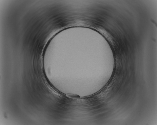 X0000097651238200803280922