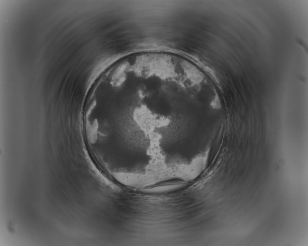 X0000097651239200803280922