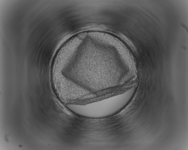 X0000097651240200803280922