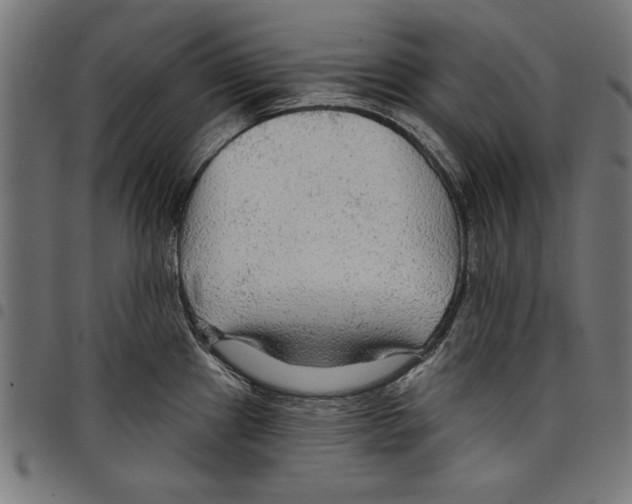 X0000097651241200803280922