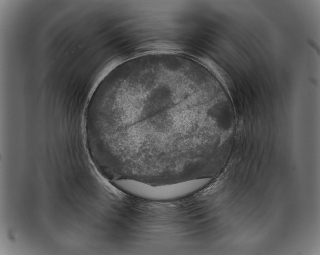 X0000097651243200803280922