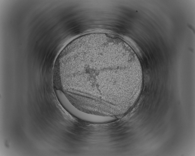 X0000097651244200803280922