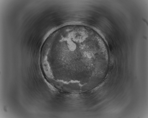 X0000097651245200803280922