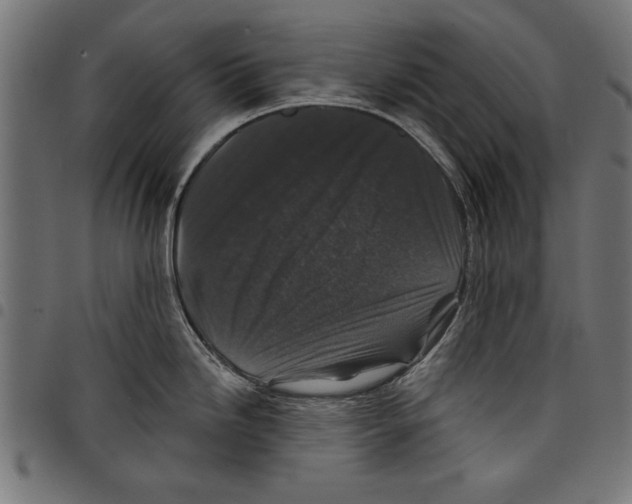 X0000097651246200803280922