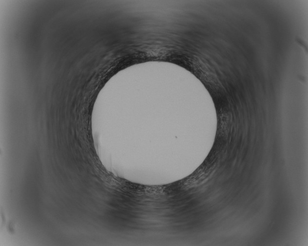 X0000097651249200803280921