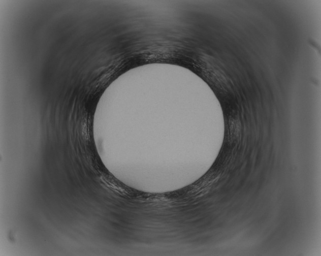 X0000097651250200803280921