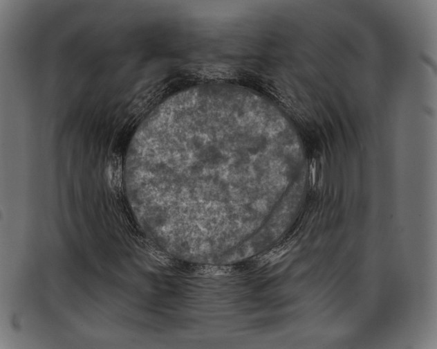 X0000097651251200803280921