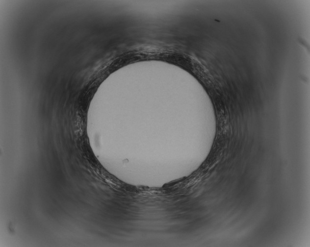 X0000097651253200803280921