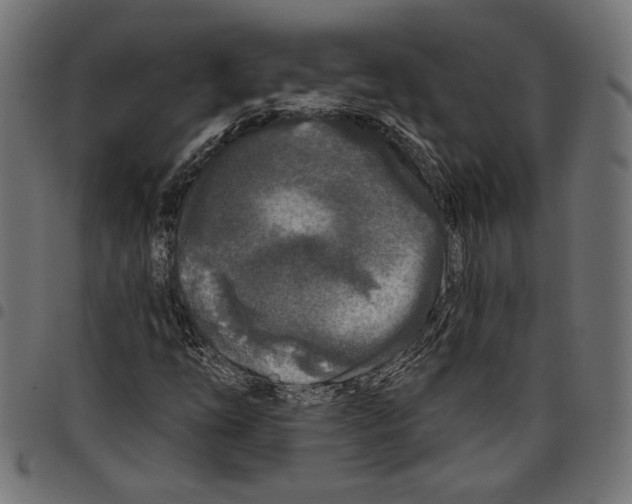 X0000097651254200803280921