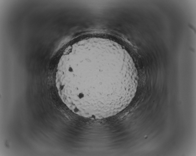 X0000097651255200803280921