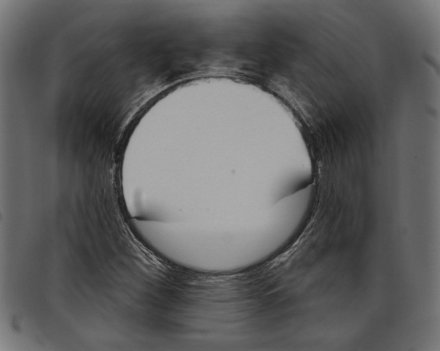 X0000097651260200803280921