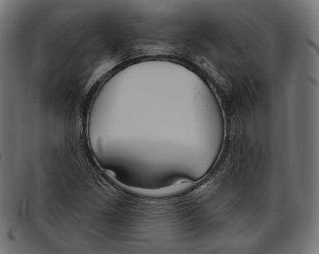 X0000097651261200803280921