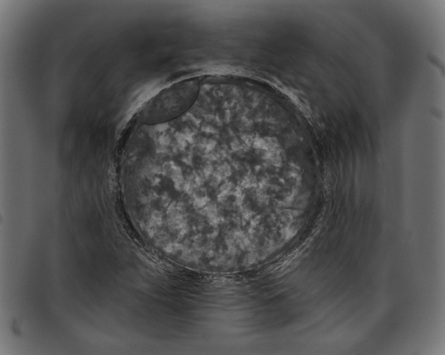 X0000097651263200803280921