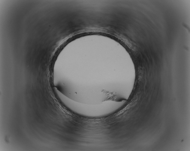 X0000097651264200803280921