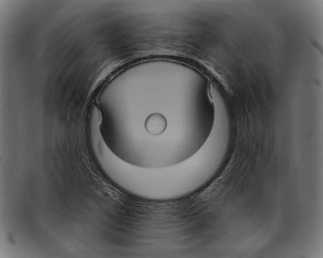 X0000097651266200803280921