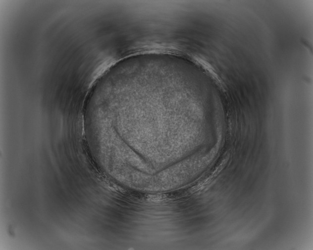 X0000097651267200803280921